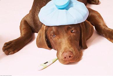 射击游戏重磅来了！《界外狂潮》引爆全球热议！